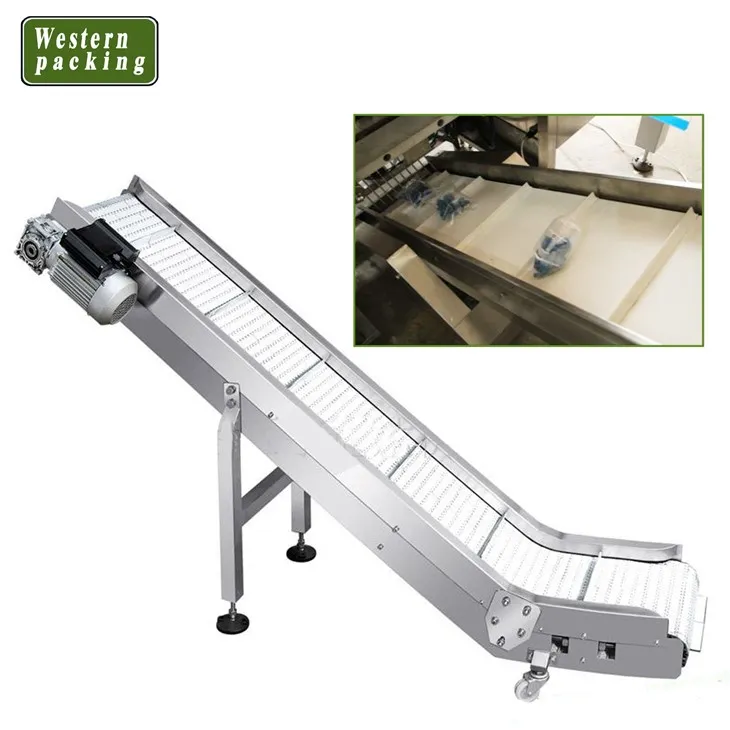 automatic chips packing machine